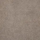 Tortora textile sample displaying a dense, looped pile weave with a granular texture and consistent matte finish in a warm brownish-gray tone.